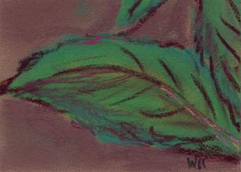 "Olbrich Awakening: Leaf" by Wendy Crone, McFarland WI - Pastel